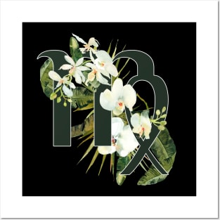 Virgo Horoscope Zodiac White Orchid Design Posters and Art